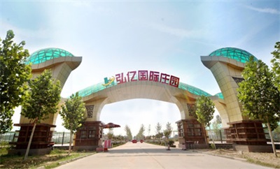中國鄭州弘億國際莊園會所家具定制案例