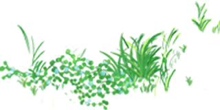 鴻業(yè)家具集團 鴻業(yè)家具集團